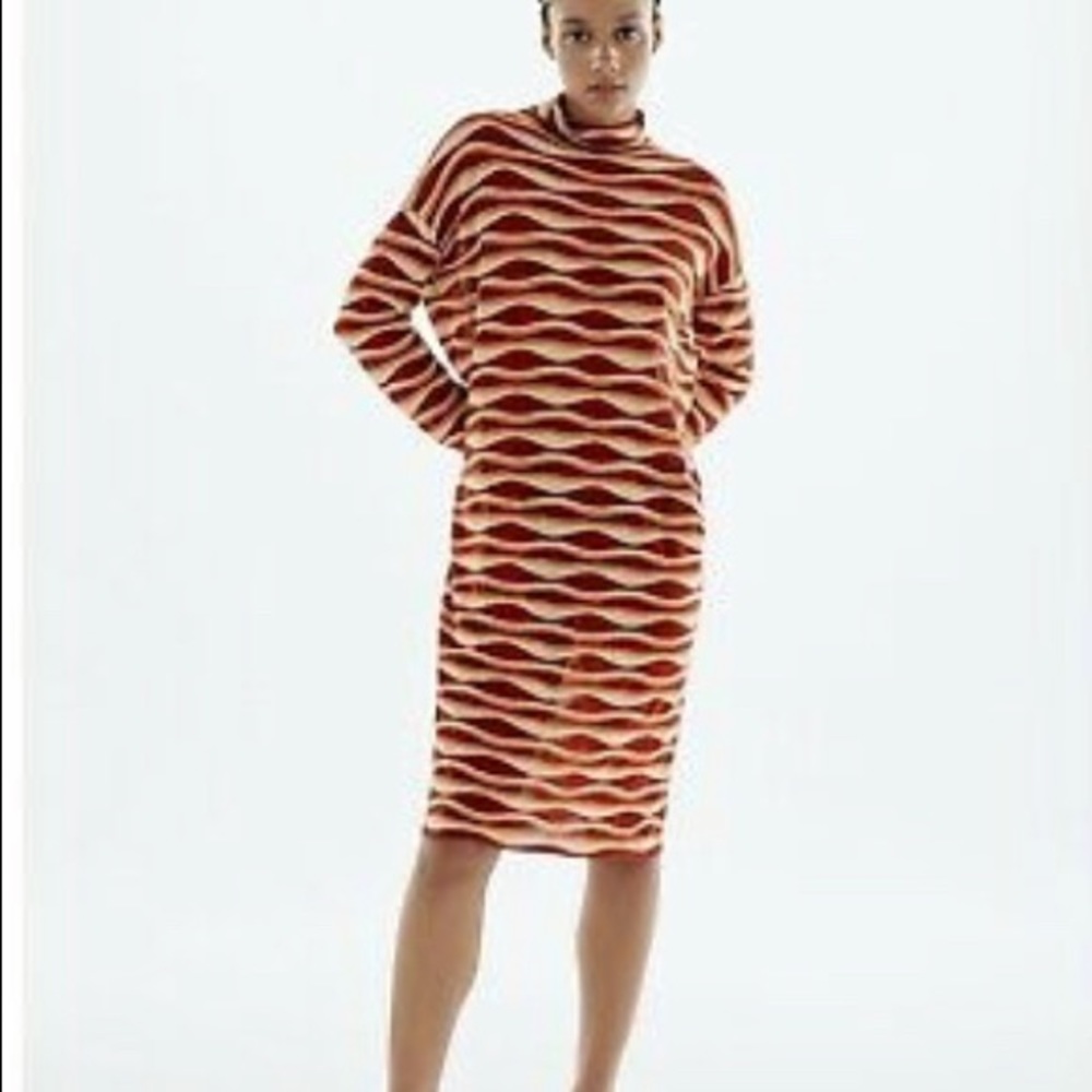 Zara printed knit tunic dresslimited edition high collar Long sleeve sizeM NWOT